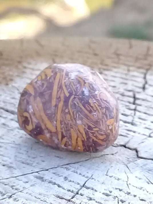 Jaspe Éléphant pierre roulée Grade A ++++ Jaspe Éléphant pierre roulée