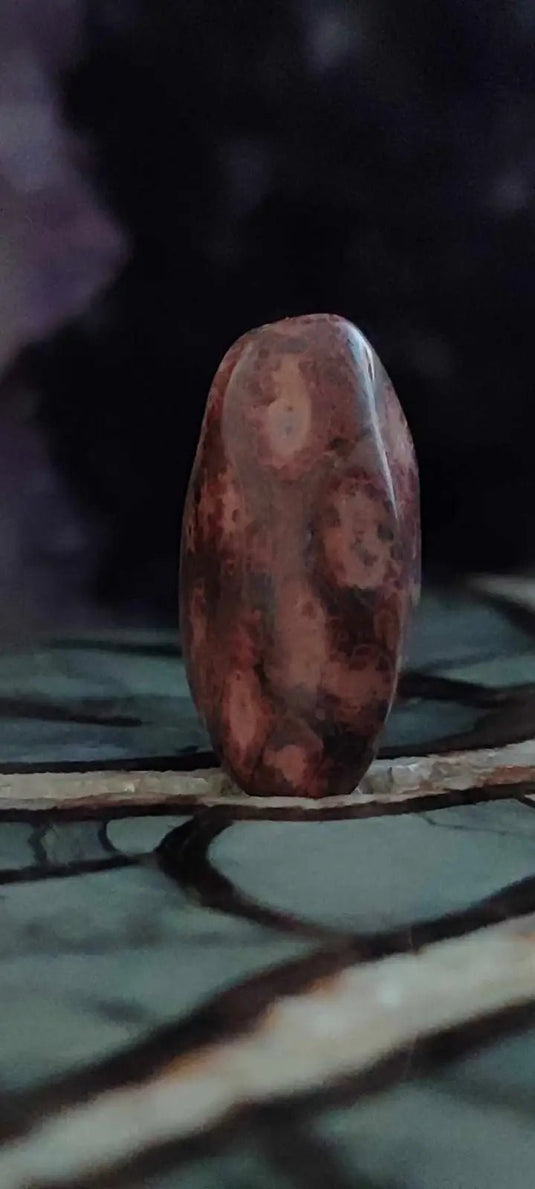 Jaspe léopard du Mexique pierre roulée Grade A++++ Jaspe léopard pierre roulée