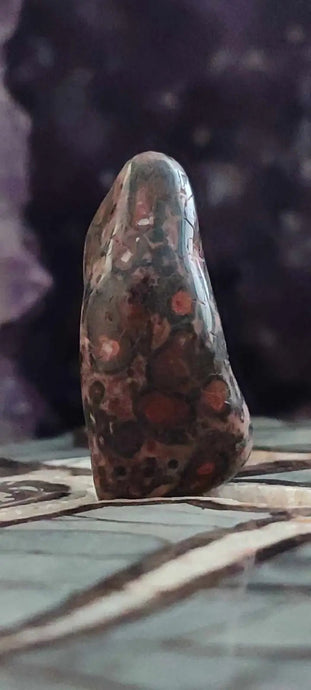 Jaspe léopard du Mexique pierre roulée Grade A++++ Jaspe léopard pierre roulée