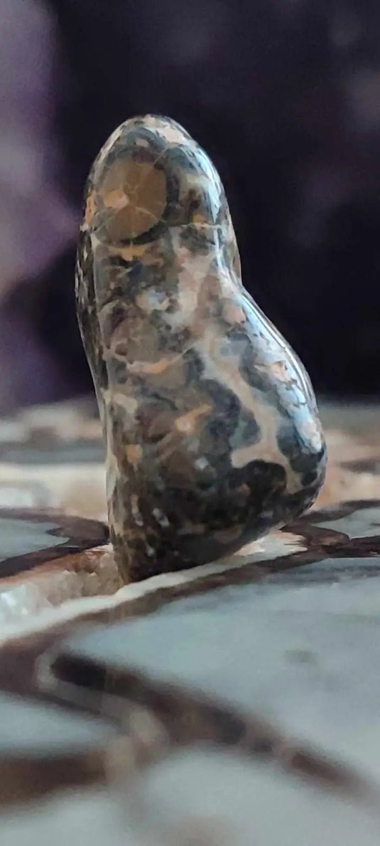 Jaspe léopard du Mexique pierre roulée Grade A++++ Jaspe léopard pierre roulée