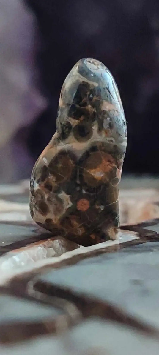 Jaspe léopard du Mexique pierre roulée Grade A++++ Jaspe léopard pierre roulée