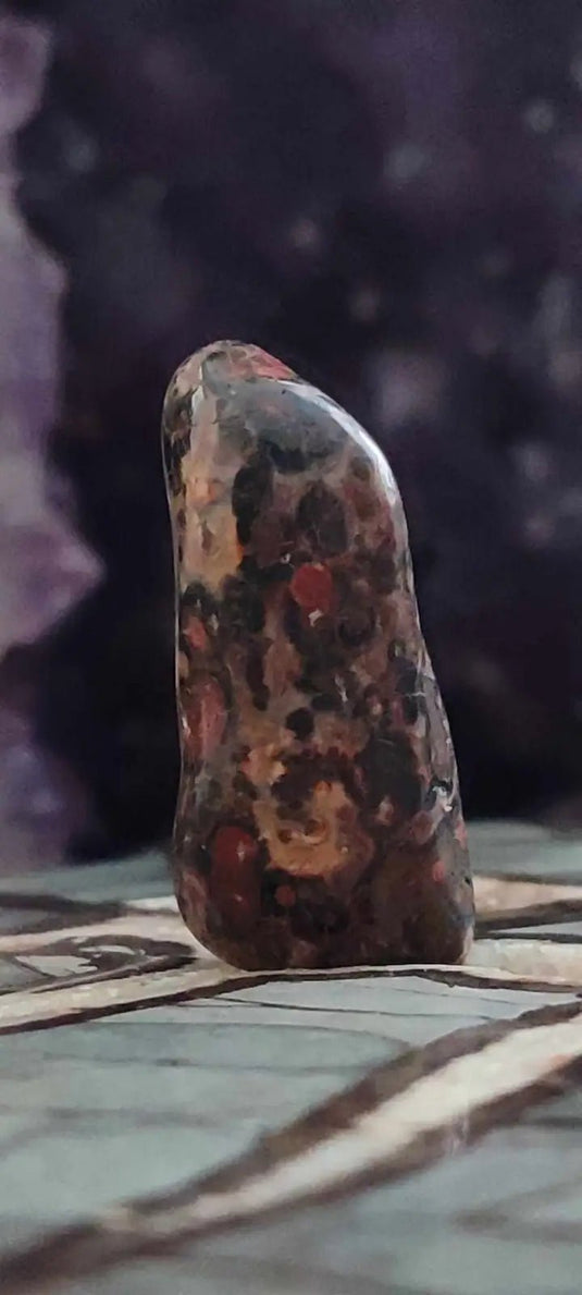 Jaspe léopard du Mexique pierre roulée Grade A++++ Jaspe léopard pierre roulée