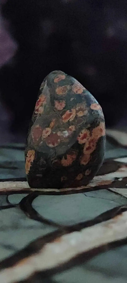 Jaspe léopard du Mexique pierre roulée Grade A++++ Jaspe léopard pierre roulée