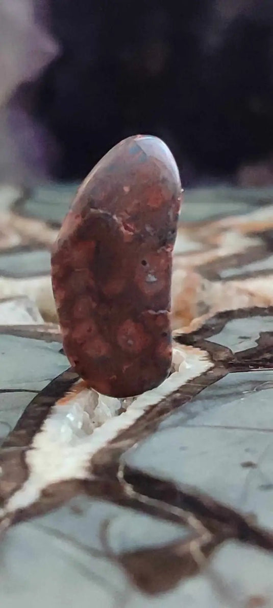 Jaspe léopard du Mexique pierre roulée Grade A++++ Jaspe léopard pierre roulée