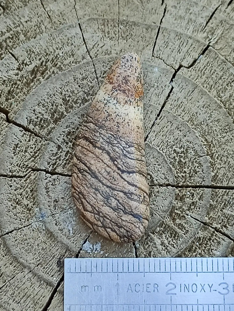 Chargez l&#39;image dans la visionneuse de la galerie, Jaspe paysage d’Uruguay pierre roulée Grade A++++ Jaspe paysage pierre roulée
