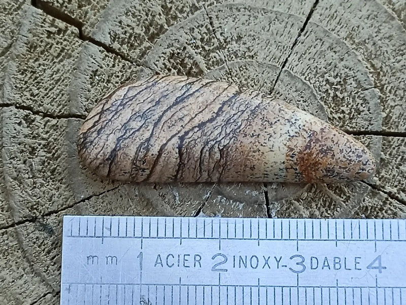 Chargez l&#39;image dans la visionneuse de la galerie, Jaspe paysage d’Uruguay pierre roulée Grade A++++ Jaspe paysage pierre roulée
