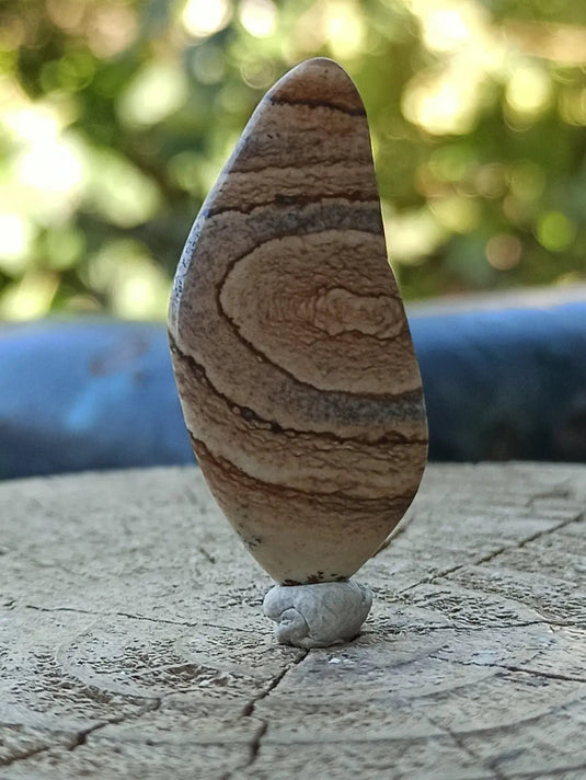 Jaspe paysage d’Uruguay pierre roulée Grade A++++ Jaspe paysage pierre roulée