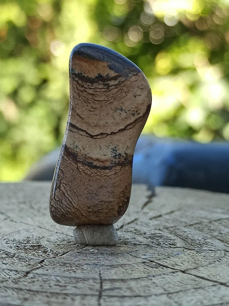 Chargez l&#39;image dans la visionneuse de la galerie, Jaspe paysage d’Uruguay pierre roulée Grade A++++ Jaspe paysage pierre roulée
