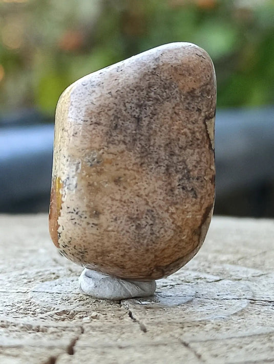 Jaspe paysage d’Uruguay pierre roulée Grade A++++ Jaspe paysage pierre roulée