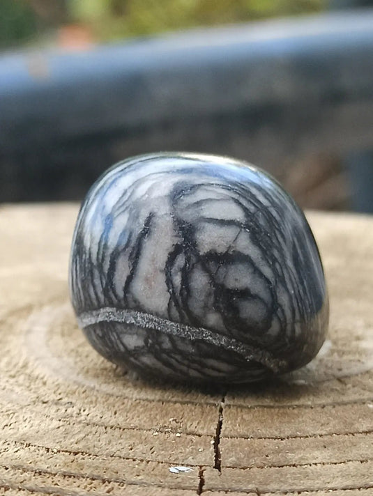 Jaspe toile d’araignée d’Autriche pierre roulée Grade A++++ Jaspe toile d’araignée