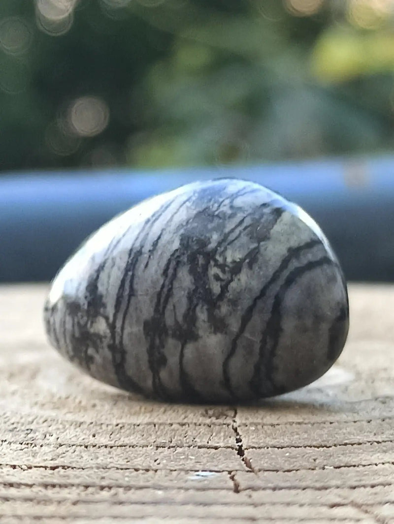 Load image into Gallery viewer, Jaspe toile d’araignée d’Autriche pierre roulée Grade A++++ Jaspe toile d’araignée
