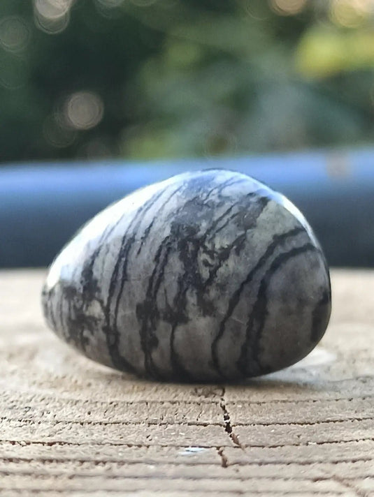 Jaspe toile d’araignée d’Autriche pierre roulée Grade A++++ Jaspe toile d’araignée