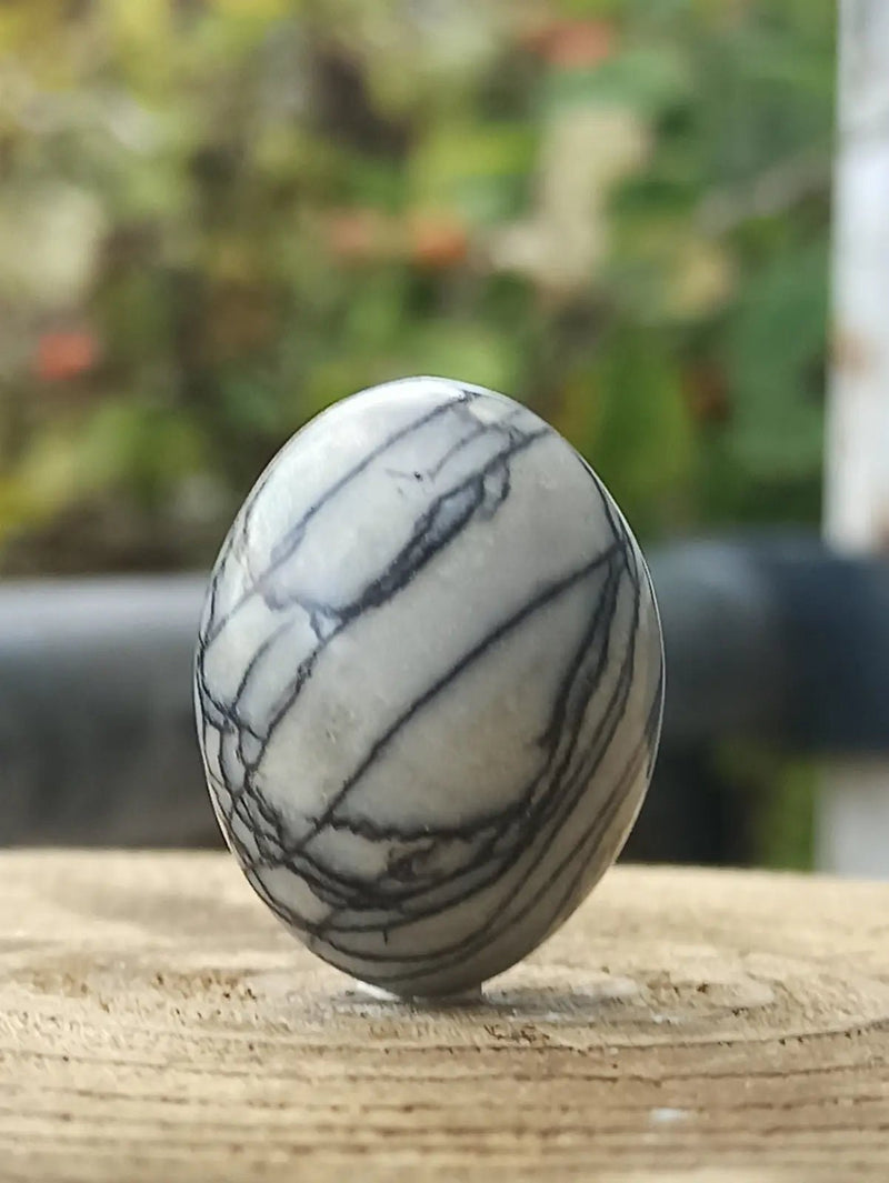 Load image into Gallery viewer, Jaspe toile d’araignée d’Autriche pierre roulée Grade A++++ Jaspe toile d’araignée
