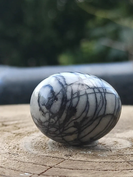 Jaspe toile d’araignée d’Autriche pierre roulée Grade A++++ Jaspe toile d’araignée