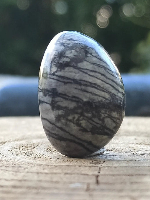 Jaspe toile d’araignée d’Autriche pierre roulée Grade A++++ Jaspe toile d’araignée