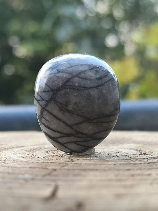 Jaspe toile d’araignée d’Autriche pierre roulée Grade A++++ Jaspe toile d’araignée