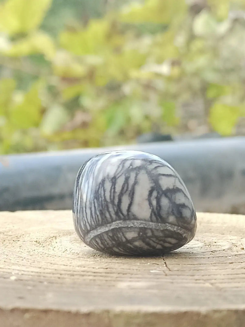 Load image into Gallery viewer, Jaspe toile d’araignée d’Autriche pierre roulée Grade A++++ Jaspe toile d’araignée
