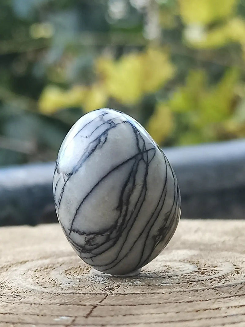 Load image into Gallery viewer, Jaspe toile d’araignée d’Autriche pierre roulée Grade A++++ Jaspe toile d’araignée
