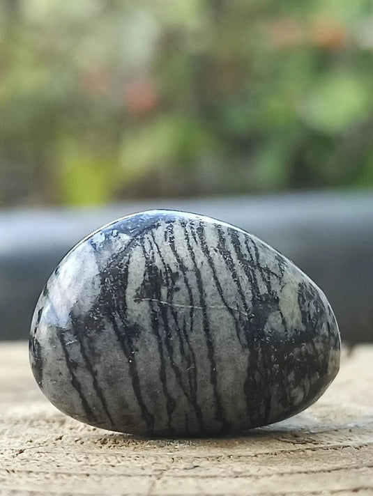 Jaspe toile d’araignée d’Autriche pierre roulée Grade A++++ Jaspe toile d’araignée