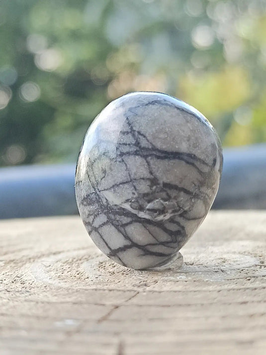 Jaspe toile d’araignée d’Autriche pierre roulée Grade A++++ Jaspe toile d’araignée