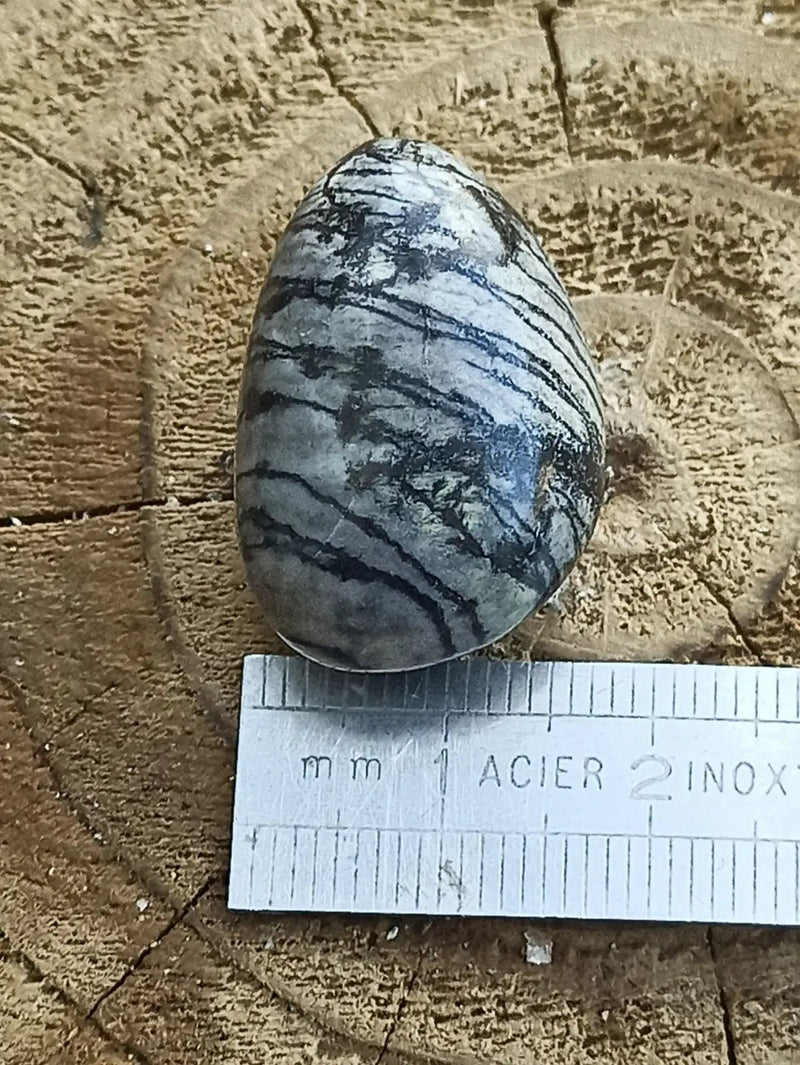 Load image into Gallery viewer, Jaspe toile d’araignée d’Autriche pierre roulée Grade A++++ Jaspe toile d’araignée
