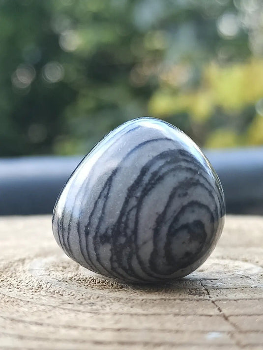 Jaspe toile d’araignée d’Autriche pierre roulée Grade A++++ Jaspe toile d’araignée