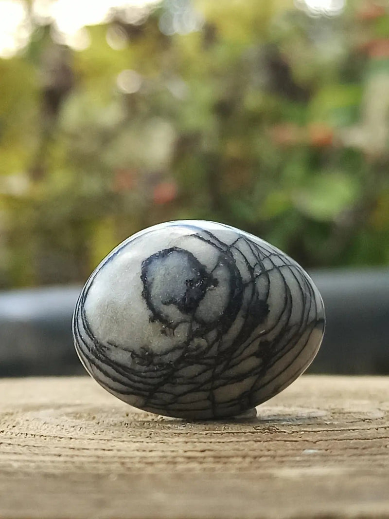 Load image into Gallery viewer, Jaspe toile d’araignée d’Autriche pierre roulée Grade A++++ Jaspe toile d’araignée
