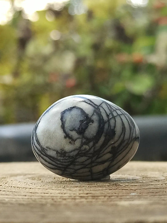 Jaspe toile d’araignée d’Autriche pierre roulée Grade A++++ Jaspe toile d’araignée