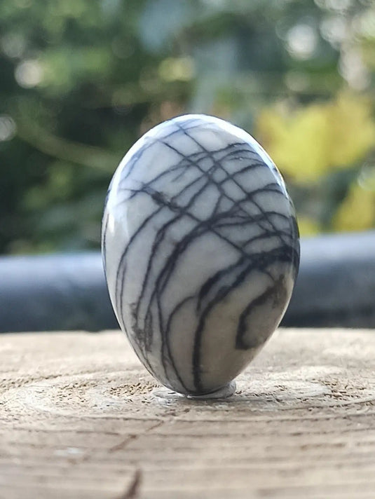 Jaspe toile d’araignée d’Autriche pierre roulée Grade A++++ Jaspe toile d’araignée