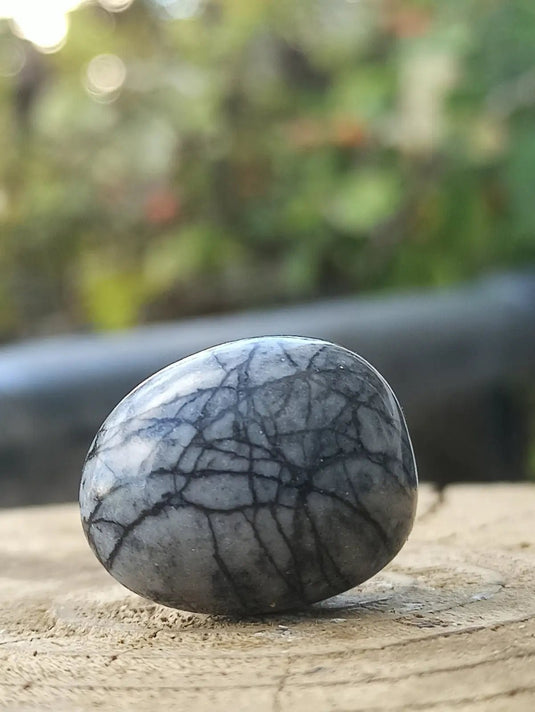 Jaspe toile d’araignée d’Autriche pierre roulée Grade A++++ Jaspe toile d’araignée