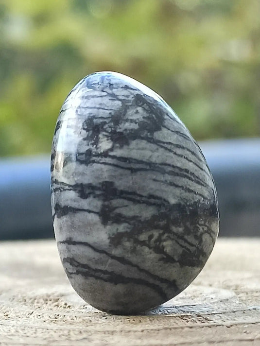 Jaspe toile d’araignée d’Autriche pierre roulée Grade A++++ Jaspe toile d’araignée