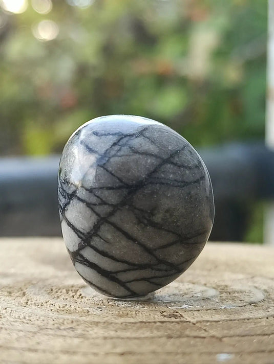 Jaspe toile d’araignée d’Autriche pierre roulée Grade A++++ Jaspe toile d’araignée