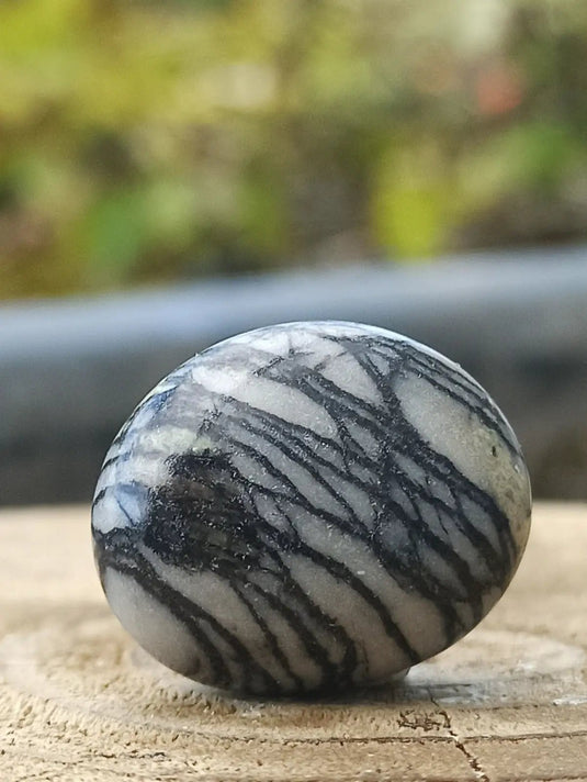 Jaspe toile d’araignée d’Autriche pierre roulée Grade A++++ Jaspe toile d’araignée