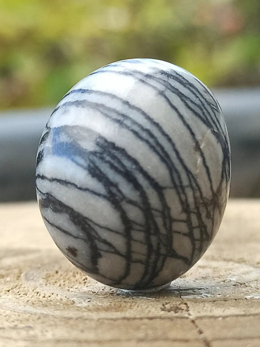 Jaspe toile d’araignée d’Autriche pierre roulée Grade A++++ Jaspe toile d’araignée