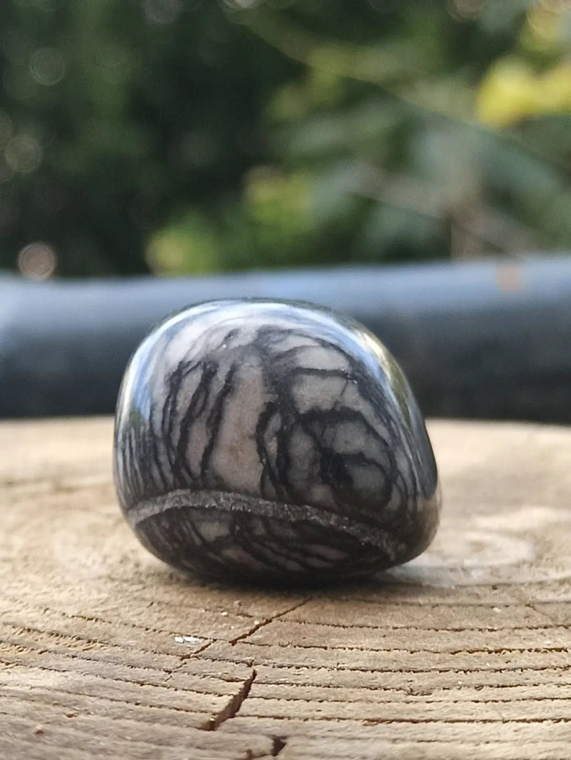 Load image into Gallery viewer, Jaspe toile d’araignée d’Autriche pierre roulée Grade A++++ Jaspe toile d’araignée
