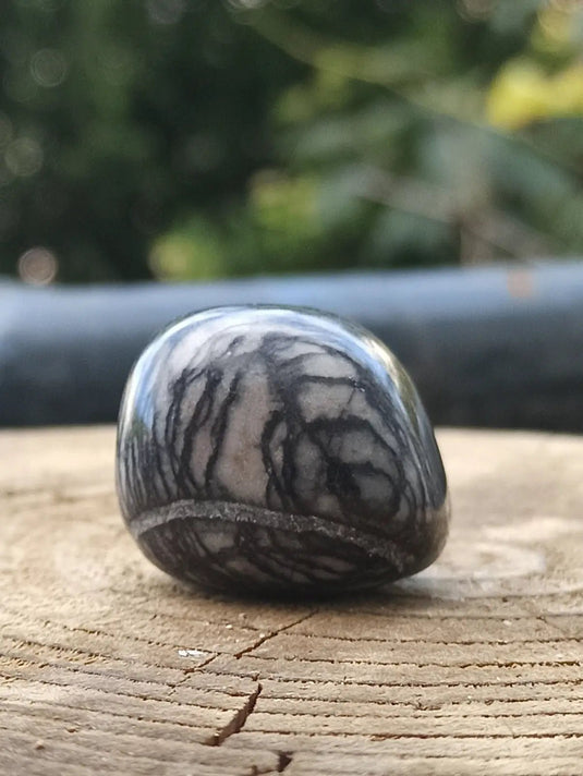 Jaspe toile d’araignée d’Autriche pierre roulée Grade A++++ Jaspe toile d’araignée