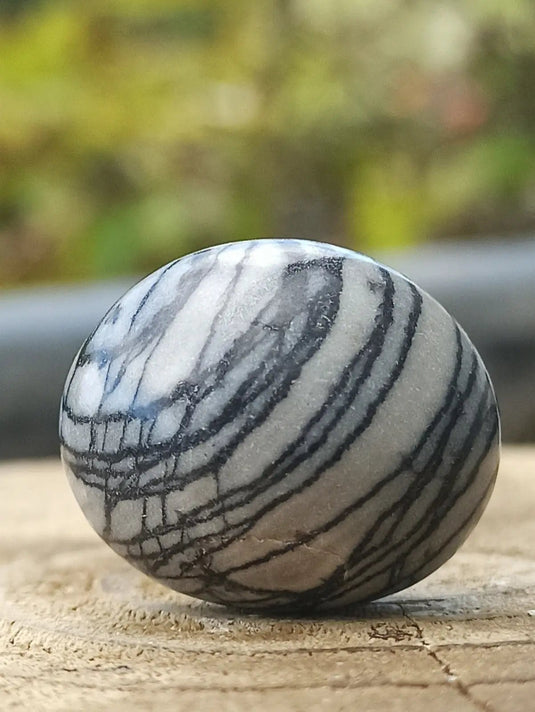 Jaspe toile d’araignée d’Autriche pierre roulée Grade A++++ Jaspe toile d’araignée