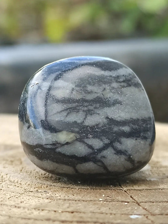 Jaspe toile d’araignée d’Autriche pierre roulée Grade A++++ Jaspe toile d’araignée