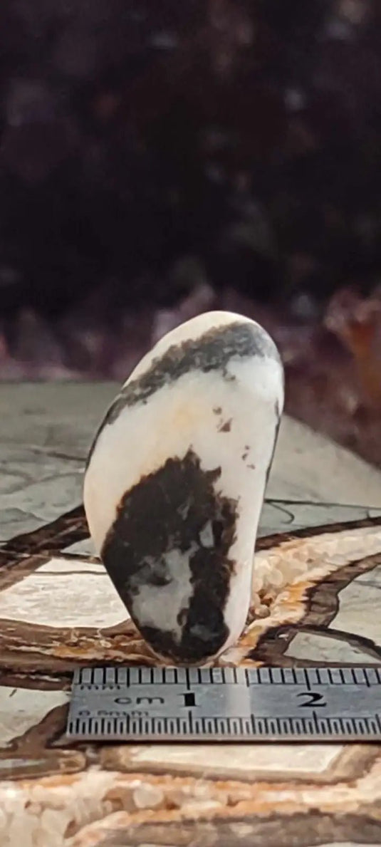 Jaspe zébré du Brésil pierre roulée Grade A++++ Jaspe Zèbre pierre roulée