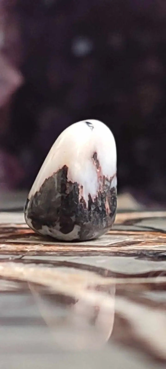 Jaspe Zébré du Brésil pierre roulée Grade A++++ Jaspe Zèbre pierre roulée