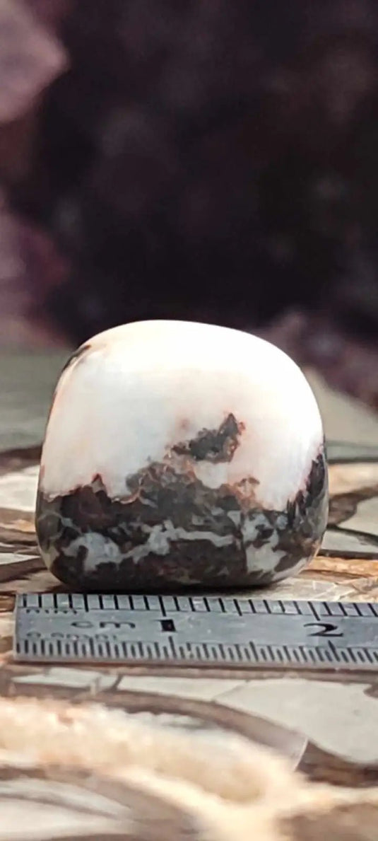 Jaspe Zébré du Brésil pierre roulée Grade A++++ Jaspe Zèbre pierre roulée