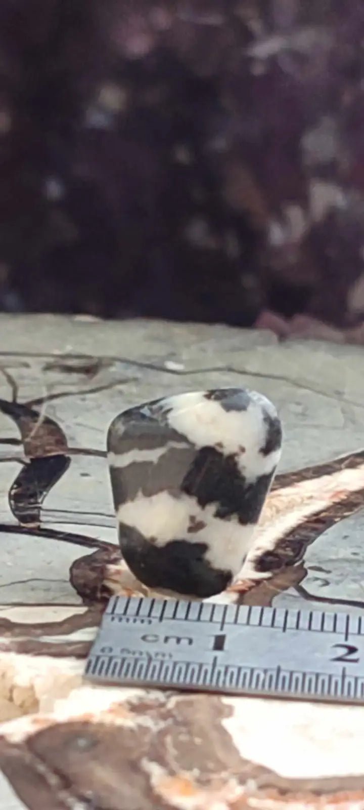 Load image into Gallery viewer, Jaspe zébré du Brésil pierre roulée Grade A++++ Jaspe Zèbre pierre roulée
