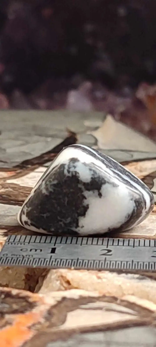 Jaspe zébré du Brésil pierre roulée Grade A++++ Jaspe Zèbre pierre roulée