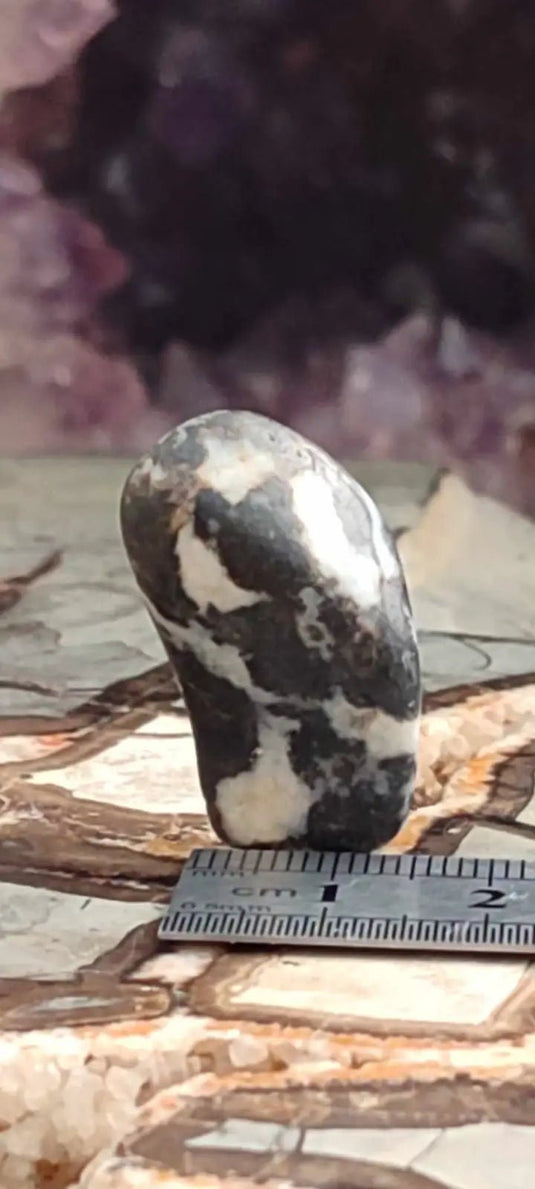 Jaspe zébré du Brésil pierre roulée Grade A++++ Jaspe Zèbre pierre roulée