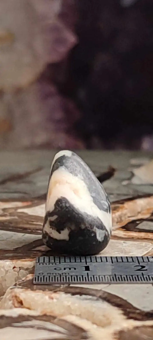 Jaspe zébré du Brésil pierre roulée Grade A++++ Jaspe Zèbre pierre roulée