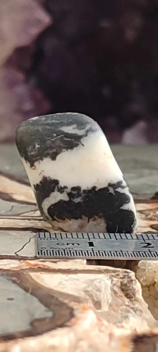 Jaspe zébré du Brésil pierre roulée Grade A++++ Jaspe Zèbre pierre roulée