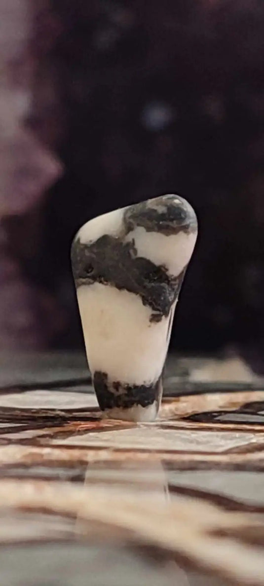 Jaspe zébré du Brésil pierre roulée Grade A++++ Jaspe Zèbre pierre roulée