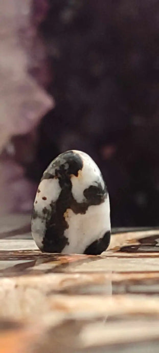 Jaspe zébré du Brésil pierre roulée Grade A++++ Jaspe Zèbre pierre roulée