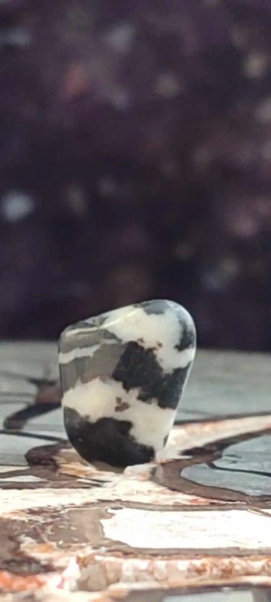 Jaspe zébré du Brésil pierre roulée Grade A++++ Jaspe Zèbre pierre roulée