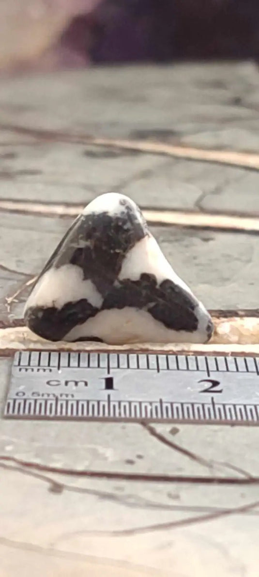 Jaspe zébré du Brésil pierre roulée Grade A++++ Jaspe Zèbre pierre roulée